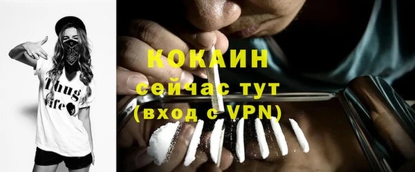 шишки Балахна
