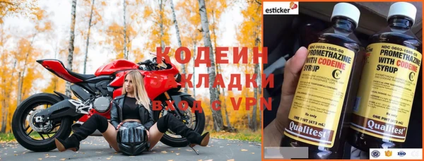 шишки Балахна