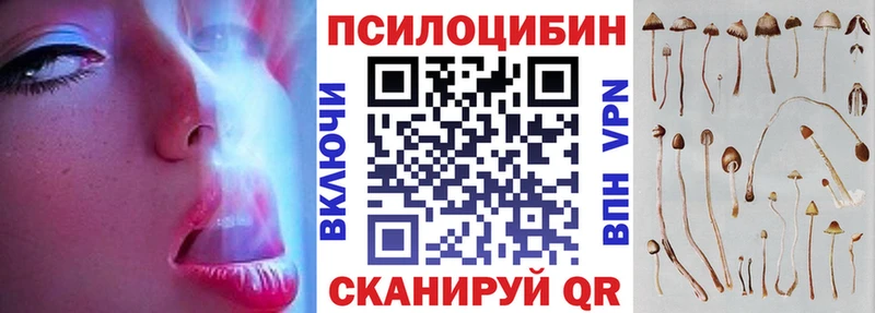 Псилоцибиновые грибы Psilocybine cubensis  Обоянь 